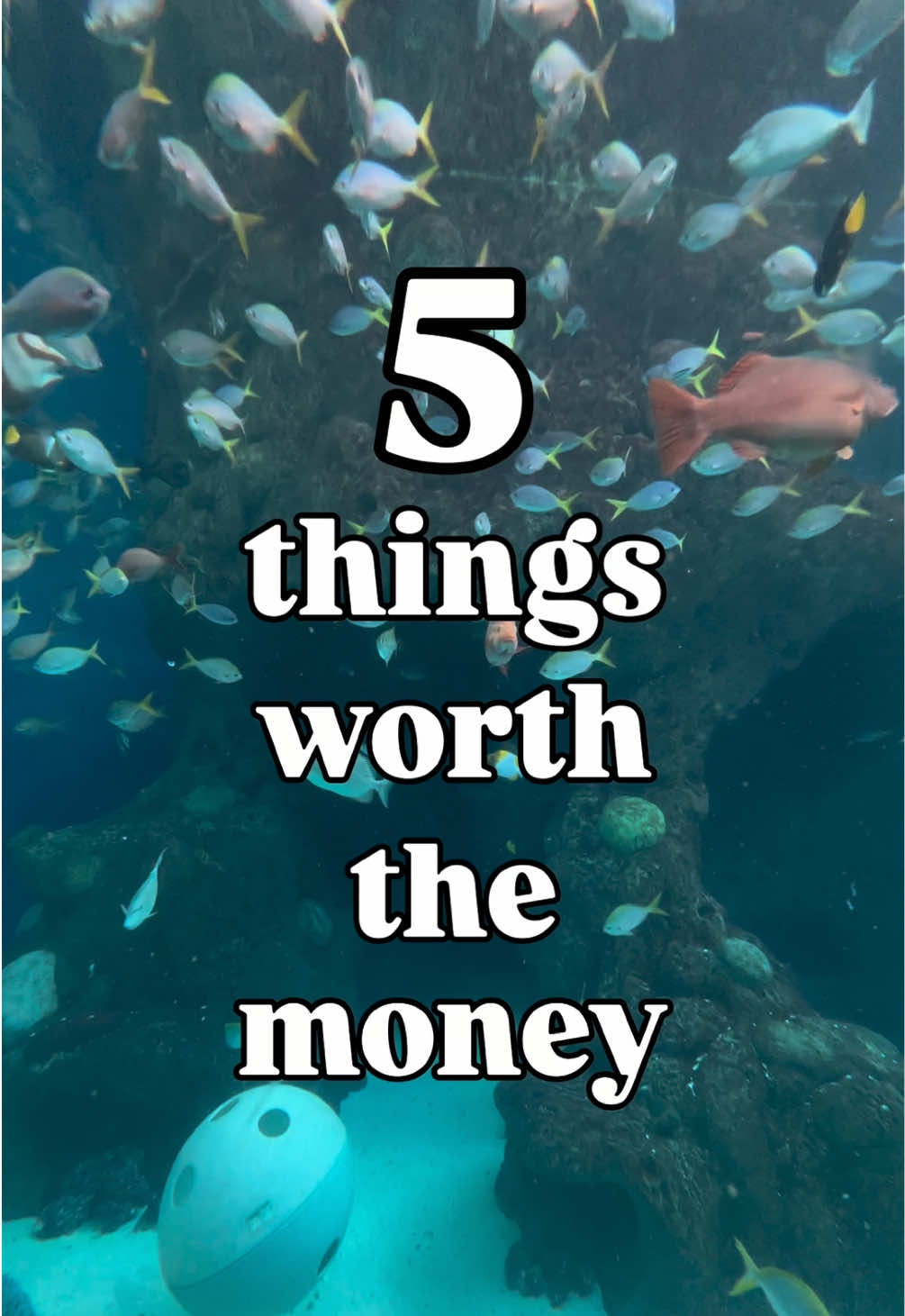 @The Florida Aquarium