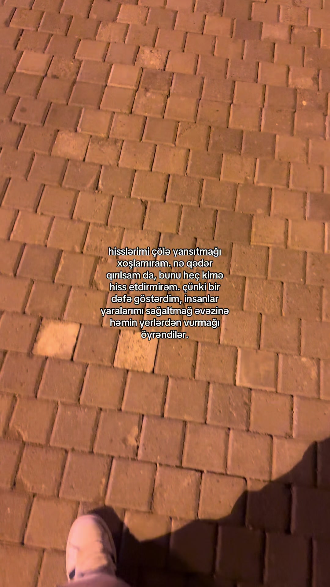 @user53736639746