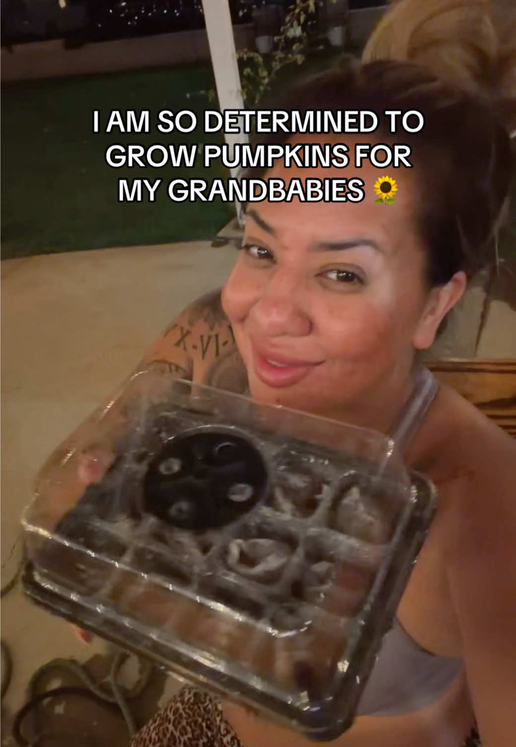 @559bosslady