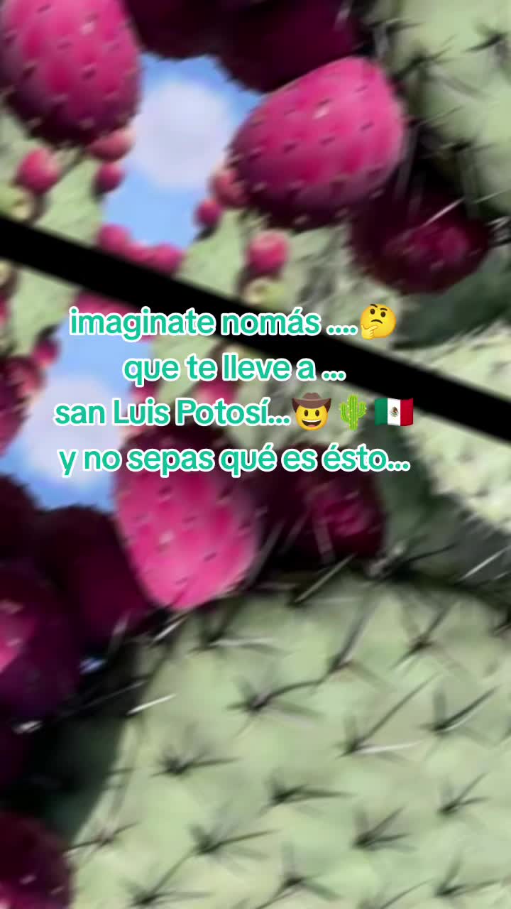 @Rivera.jr@Dallas