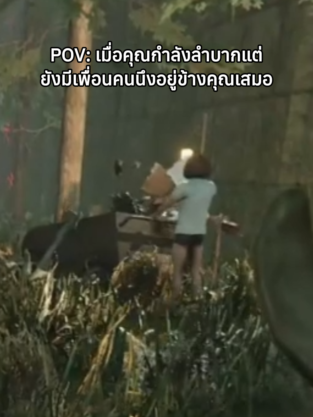 @sonjokey