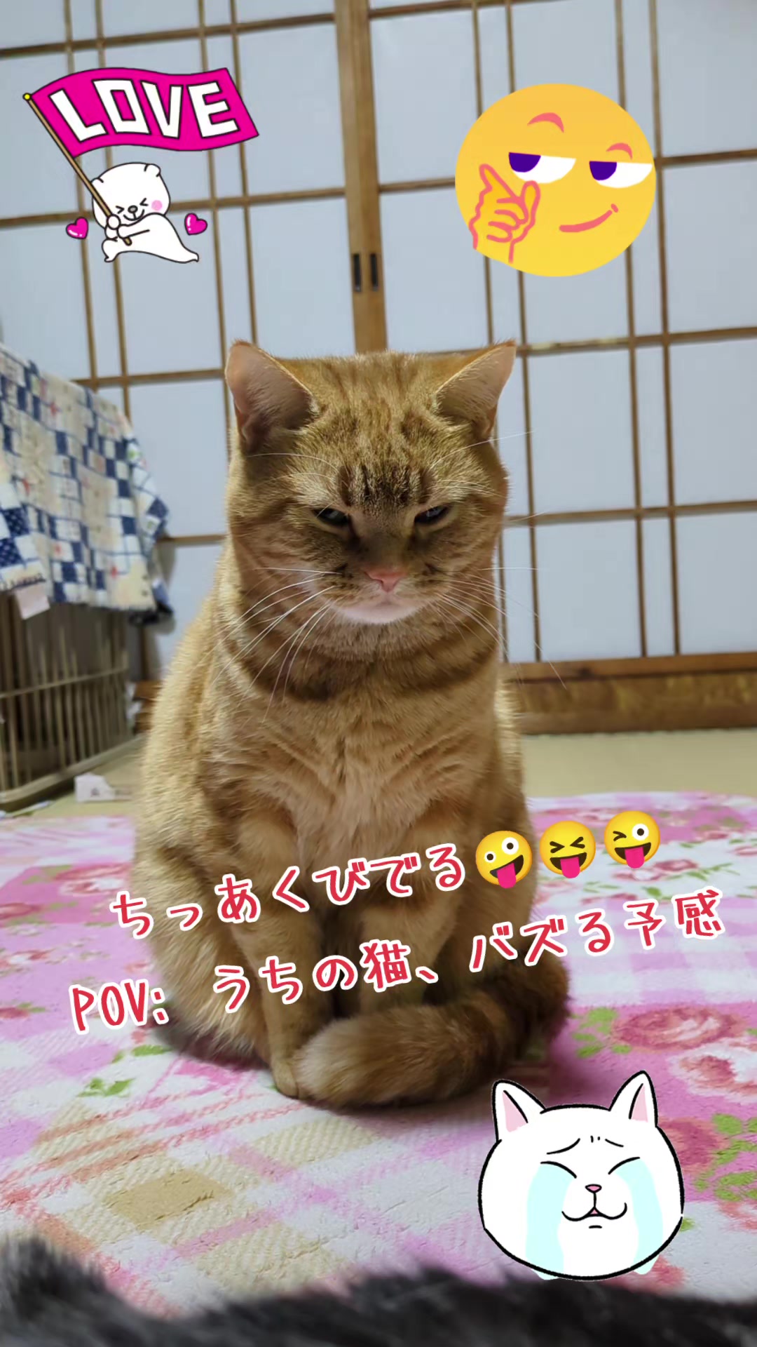 @JUNjun