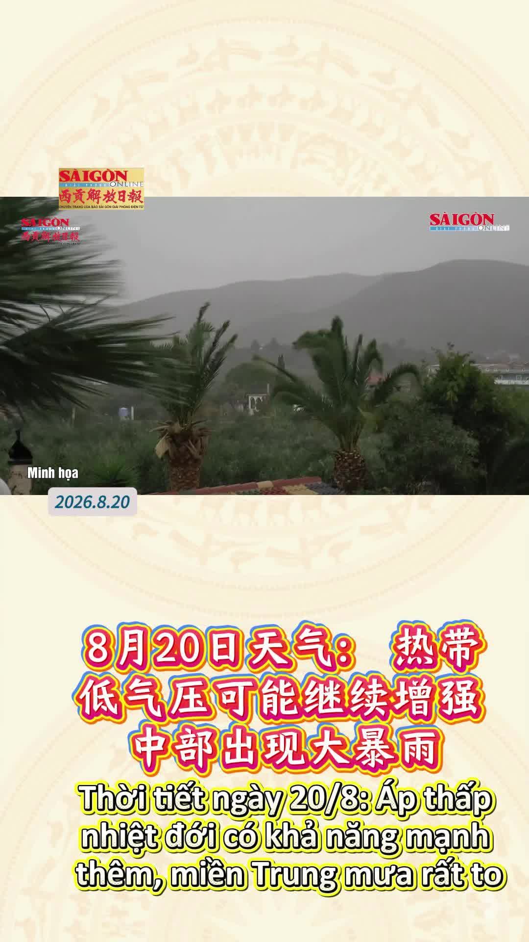 @西贡解放日报-Báo SGGP bản Hoa văn