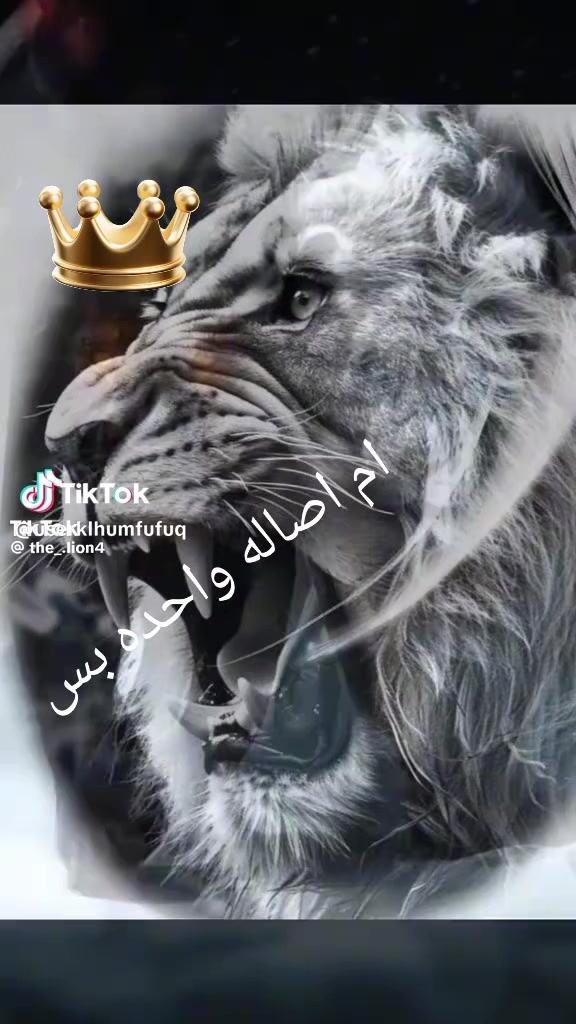 @Habiba100