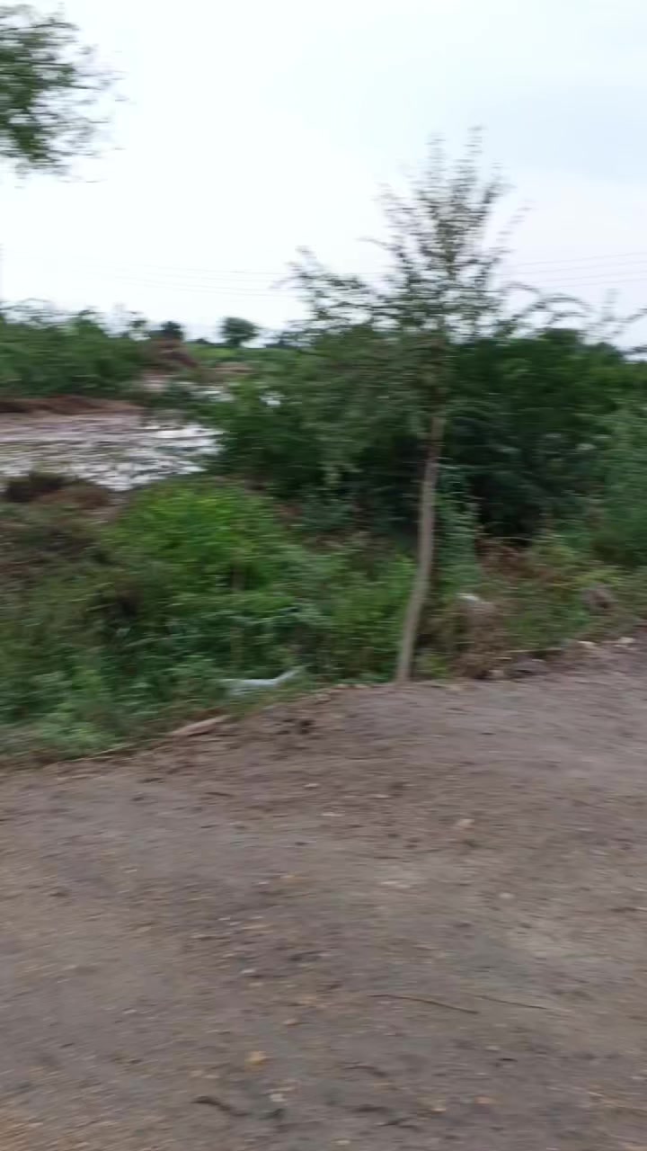 @Mukesh kumar kolhi