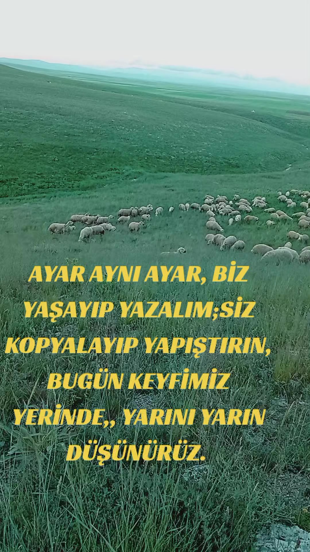 @HAYAL KEŞ