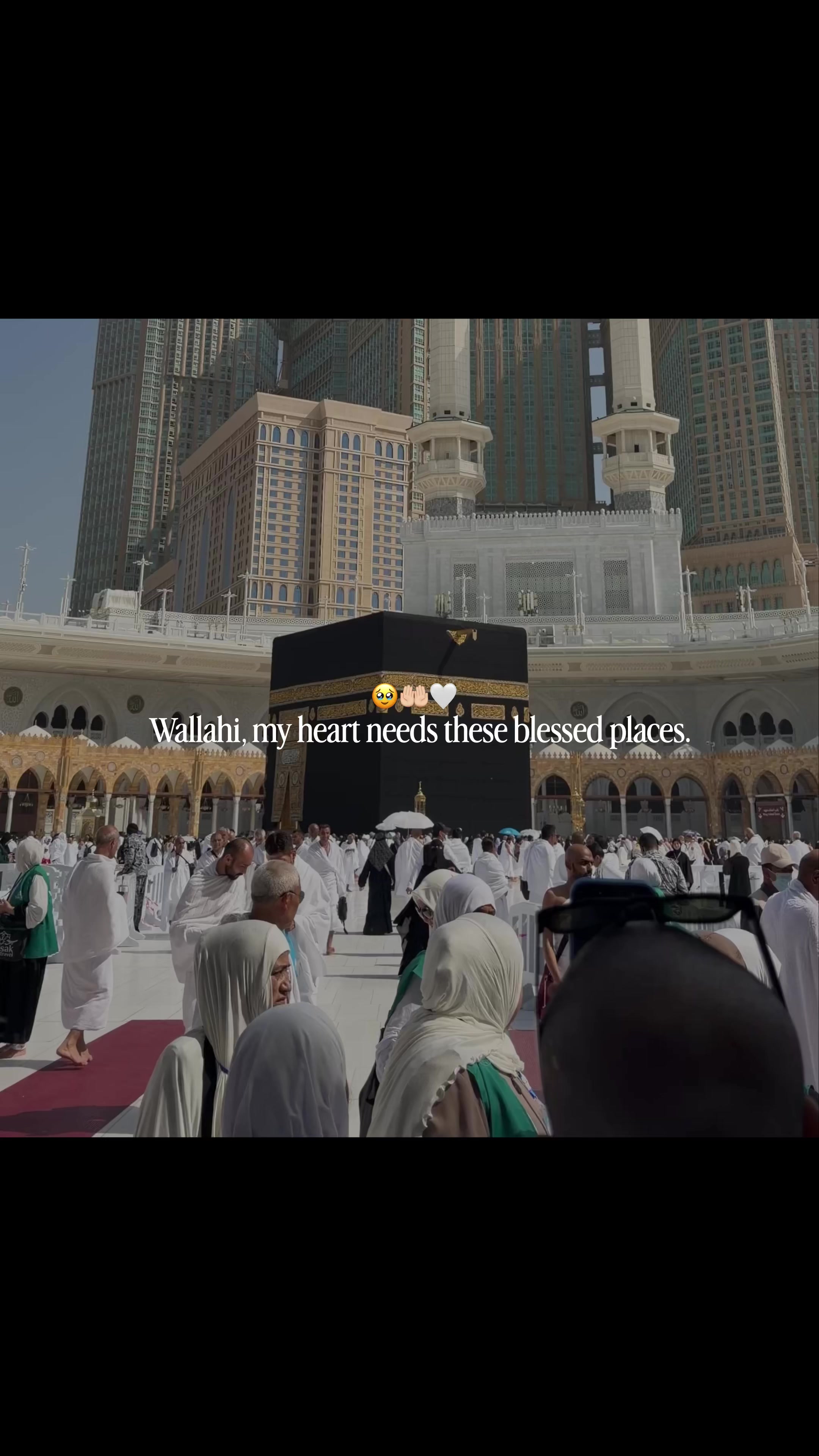 @Halal Mohsin