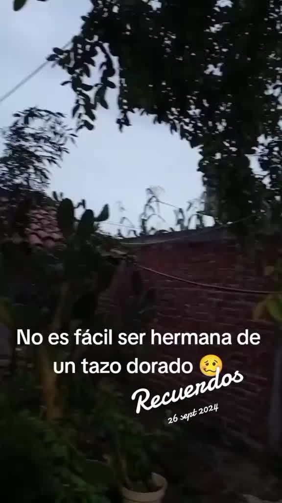 @Isabel Cervantes