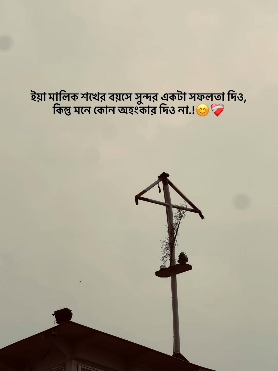 @Tanvir AhmeD&rsquo;z🚩