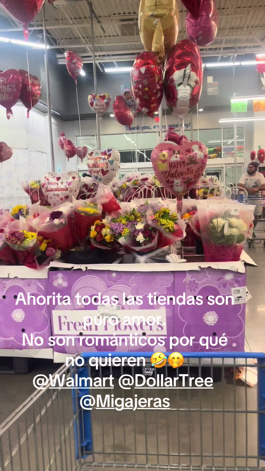 @patymaldonado671