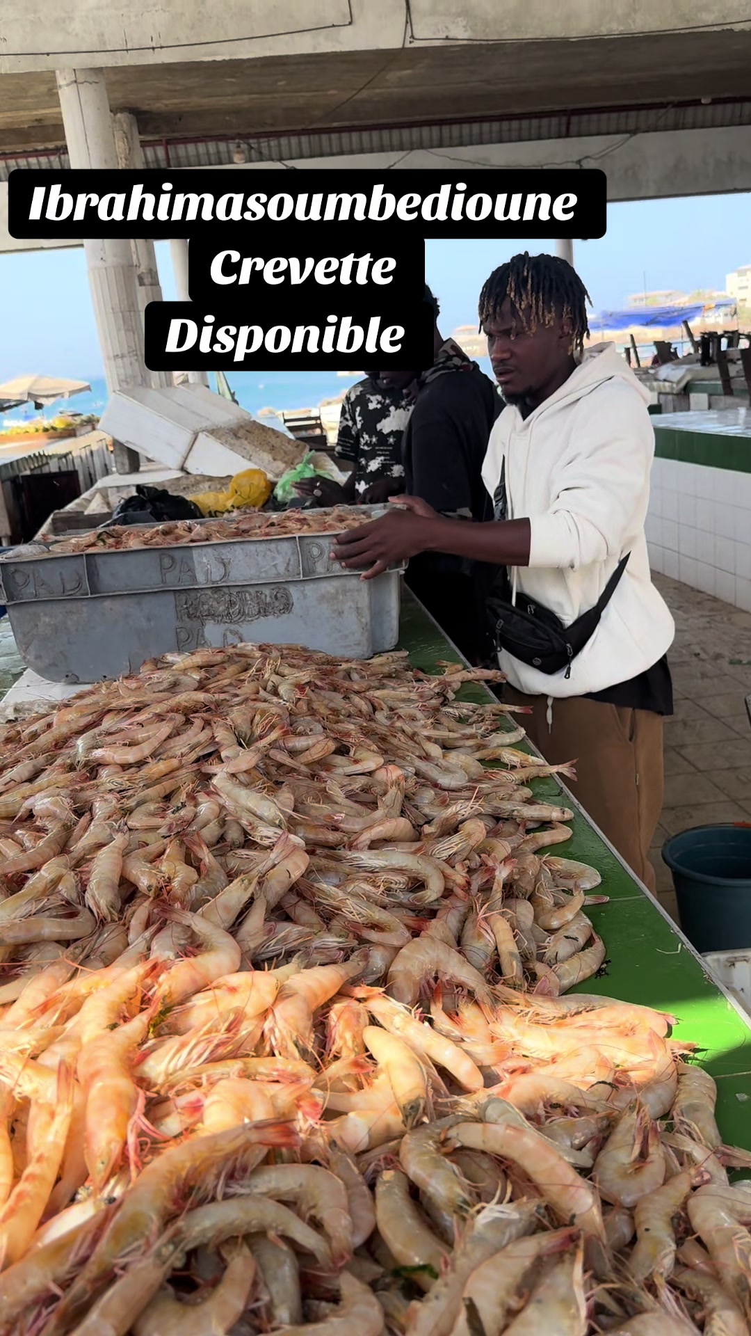 @Ibrahimasoumbedioune0