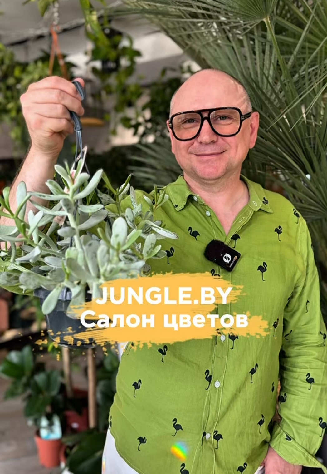 @АЛЬБЕРТ ЗНАЕТ