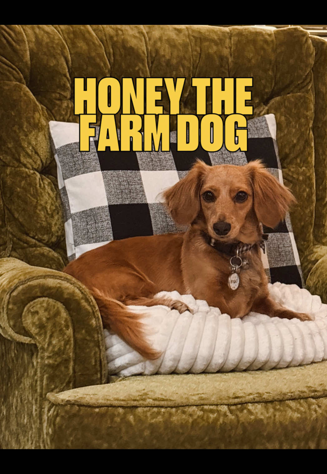 @FarmVogue