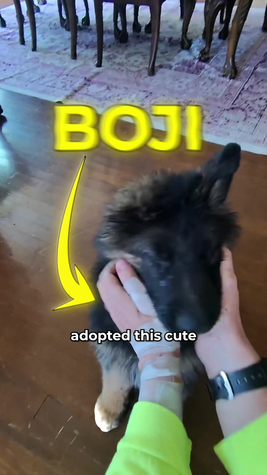 @POVINME