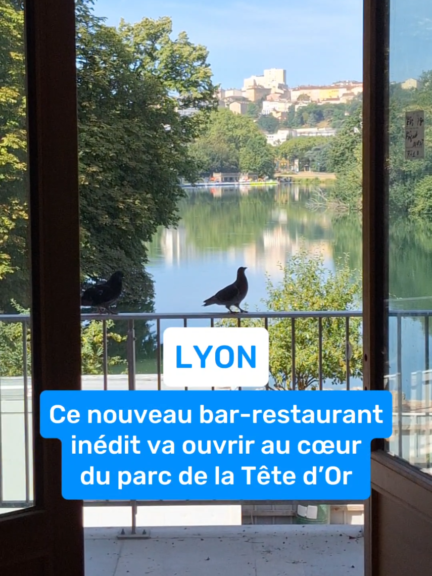 @actu Lyon
