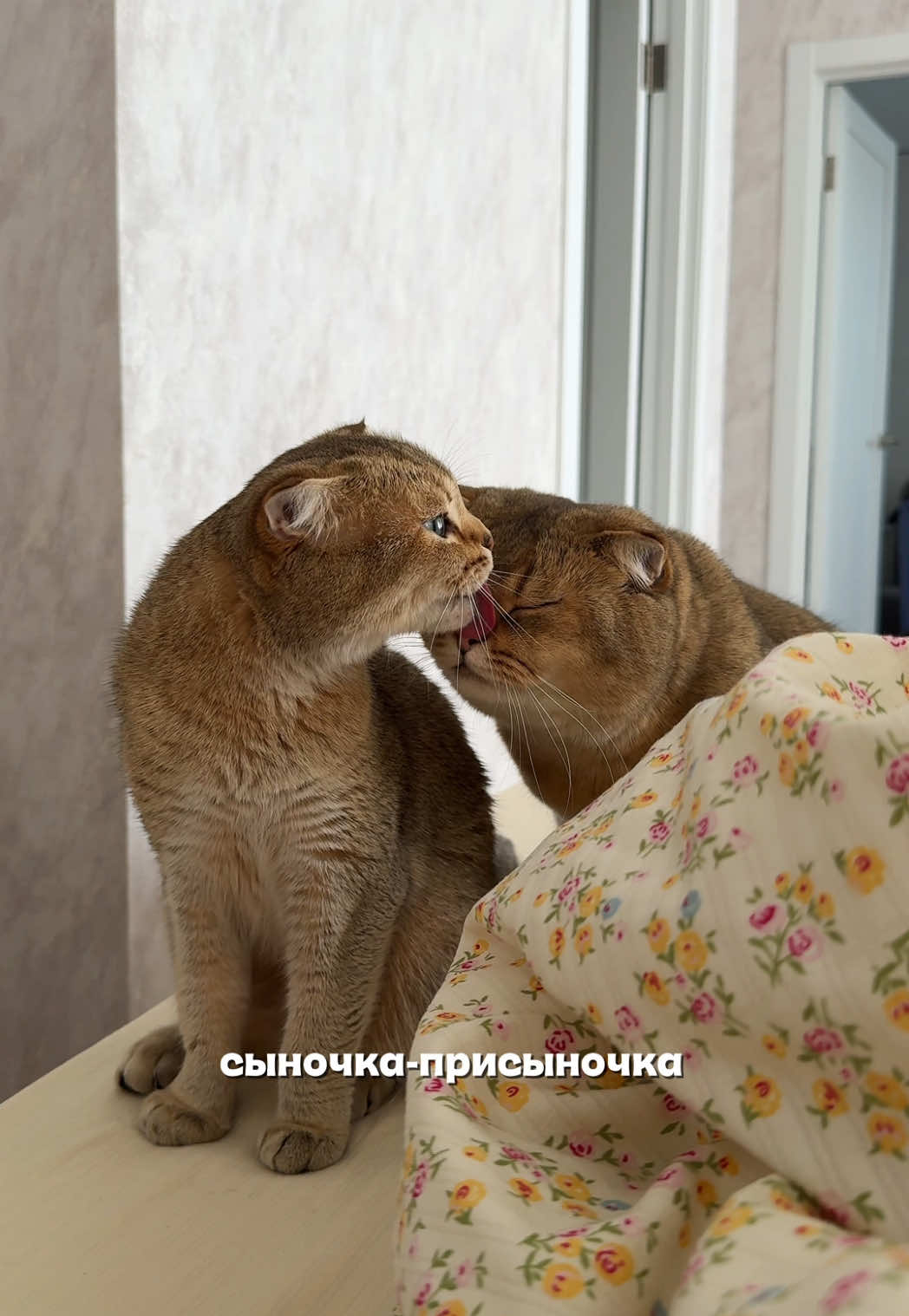 @Владочка