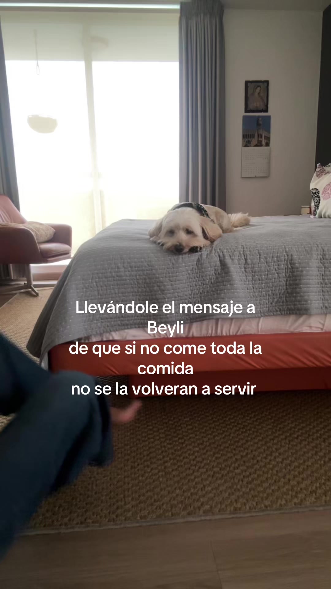 @Beyli