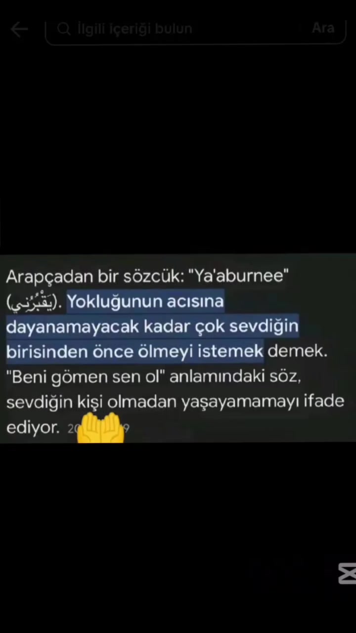 @LEYLA Khudiyeva