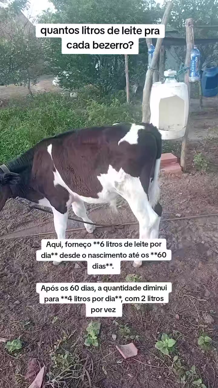 @jocriador