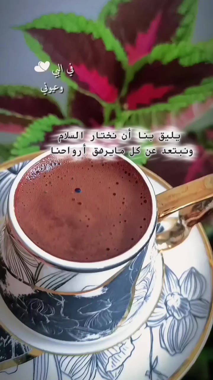 @꧁ঔৣ👑 سلطانة زماني 🎀ঔৣ꧂