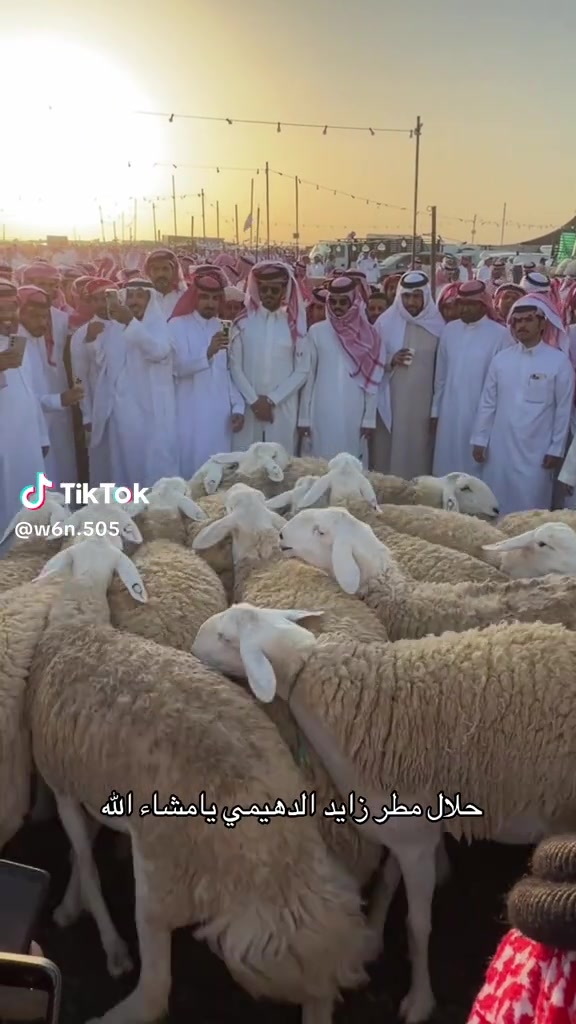 @mohamed_ksa0