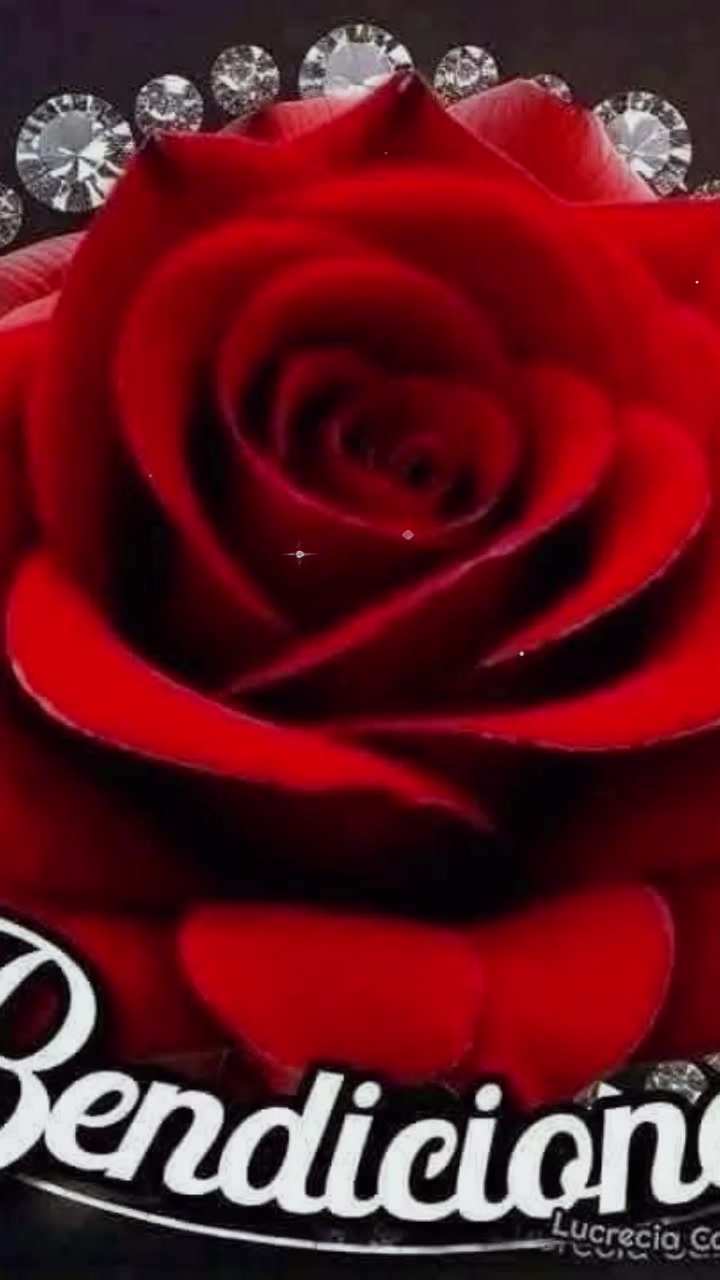 @celeste ๐ซ๐งโ๏ธ๐งโ๏ธ๐