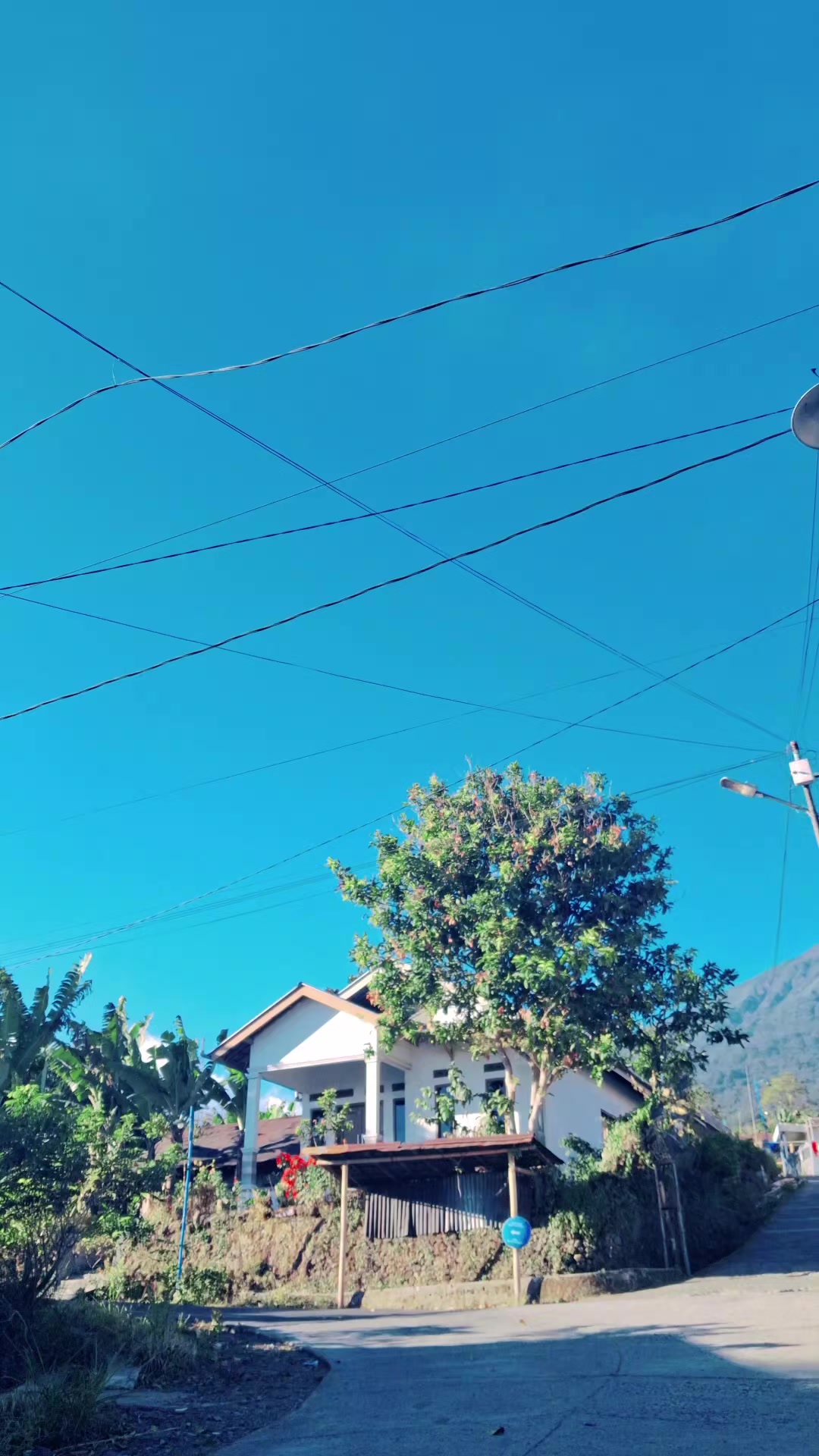 @shefadewata