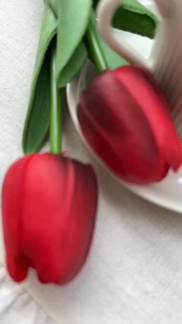 @💝💝 𝖡İ𝖹İ𝖬 𝖪𝖨𝖹 💝💝