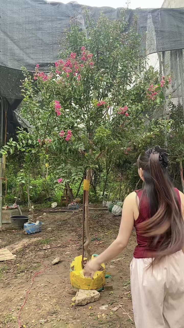 @Khổng La