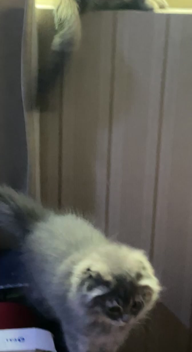 @kkkkkkkkkl