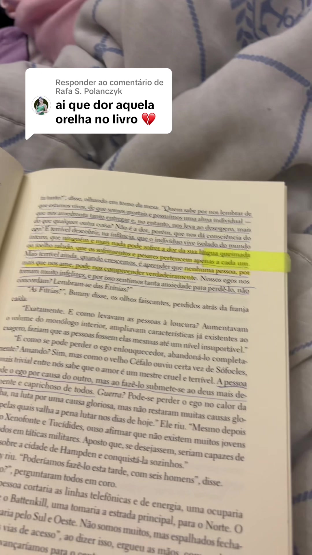 @fernanda nocce