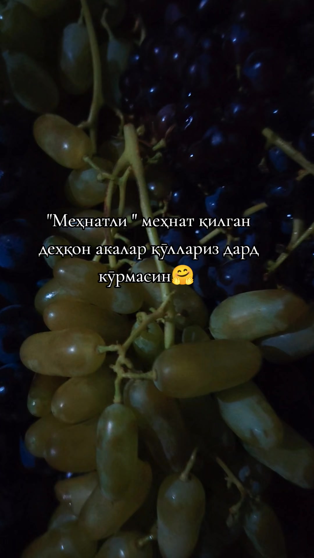 @alieva🤍