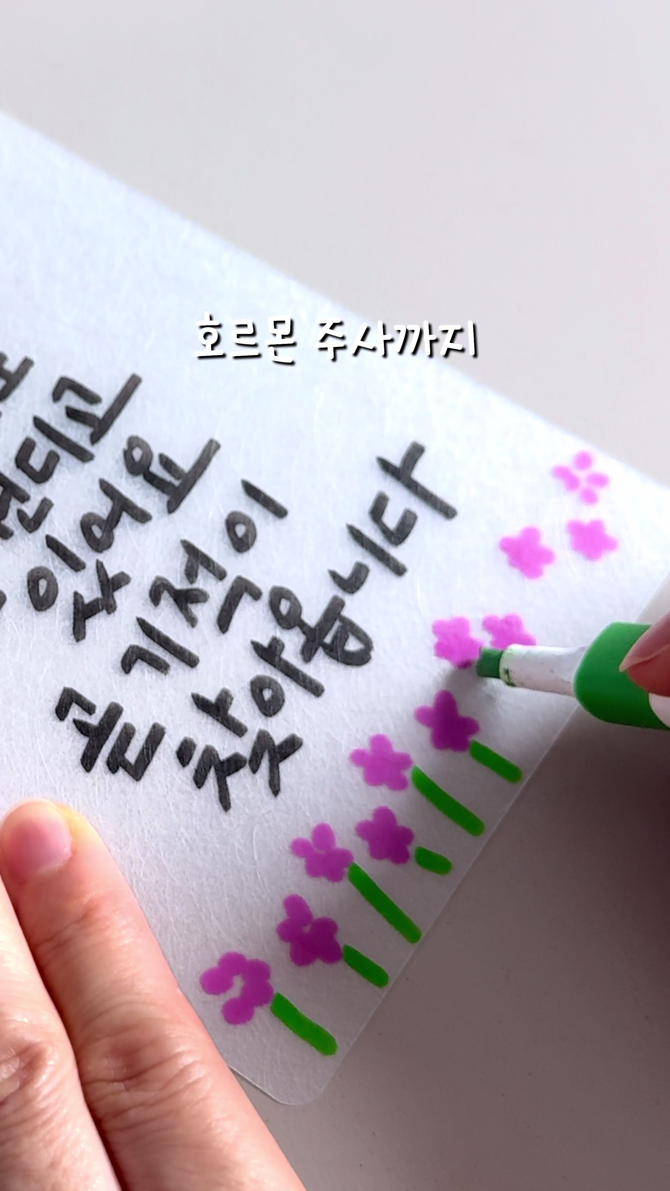 @이느낌 작가ㅣ이느낌 꽃과캘리