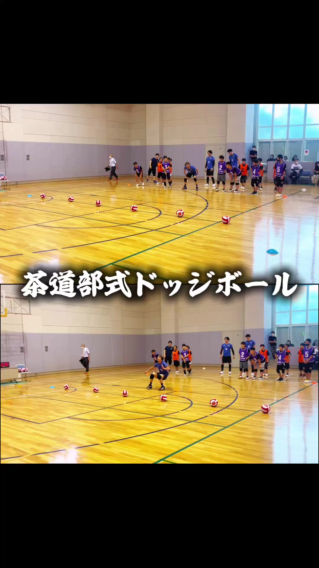 @忍者タッティン🥷甲賀から世界へ