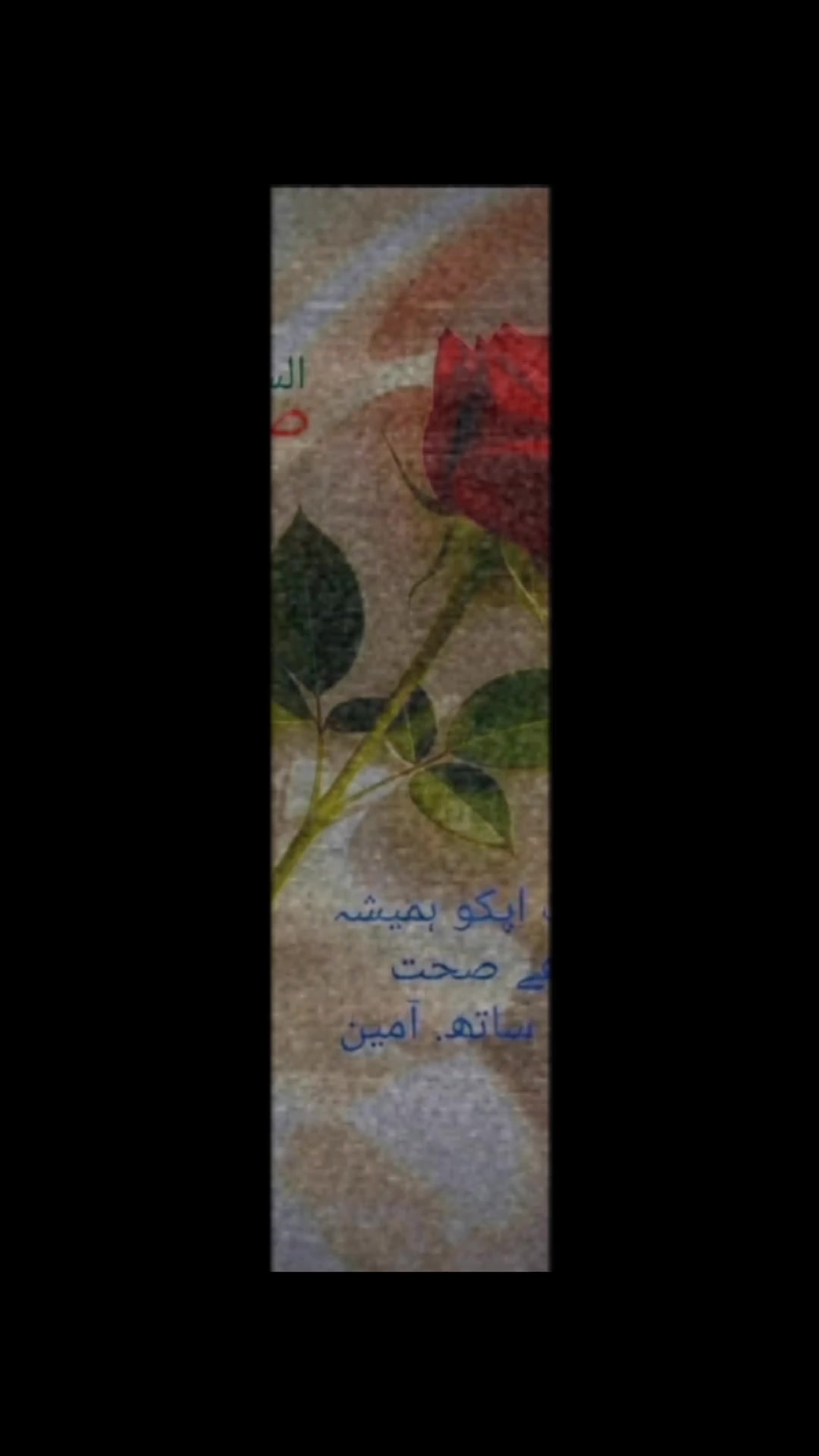 @maliksajjad1860