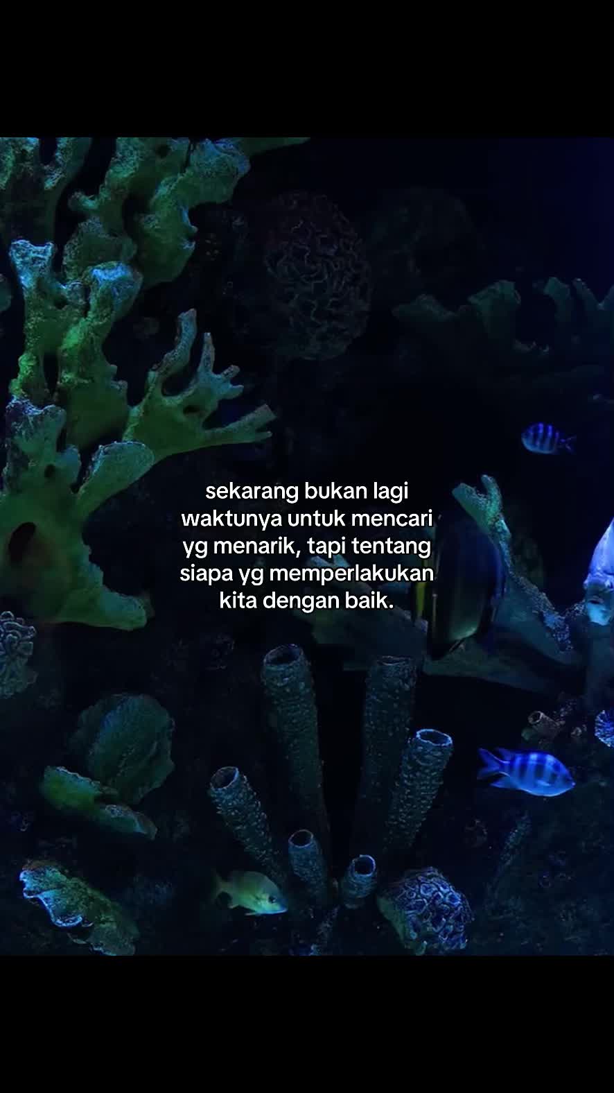 @GALAU;) Arieff
