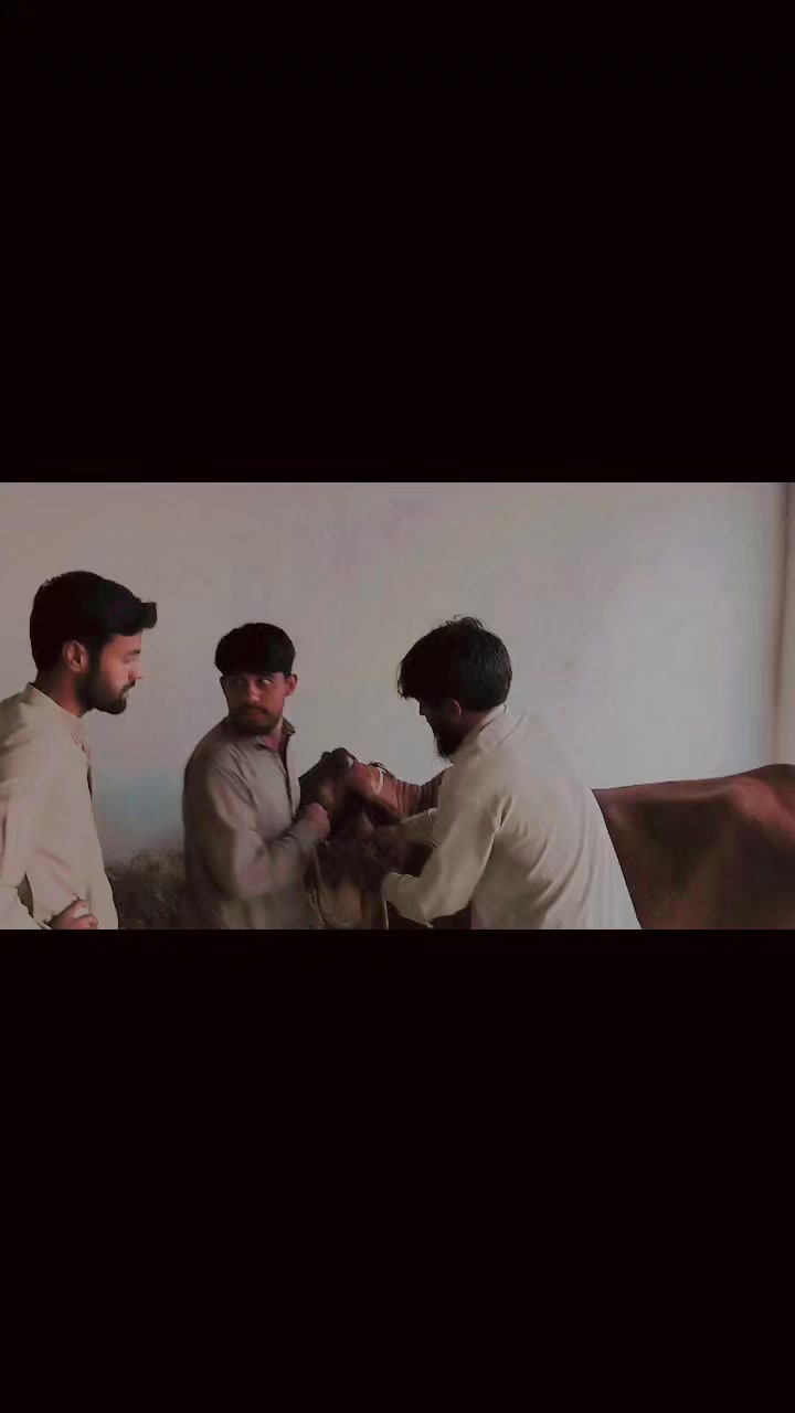 @ƝƠMƖ
