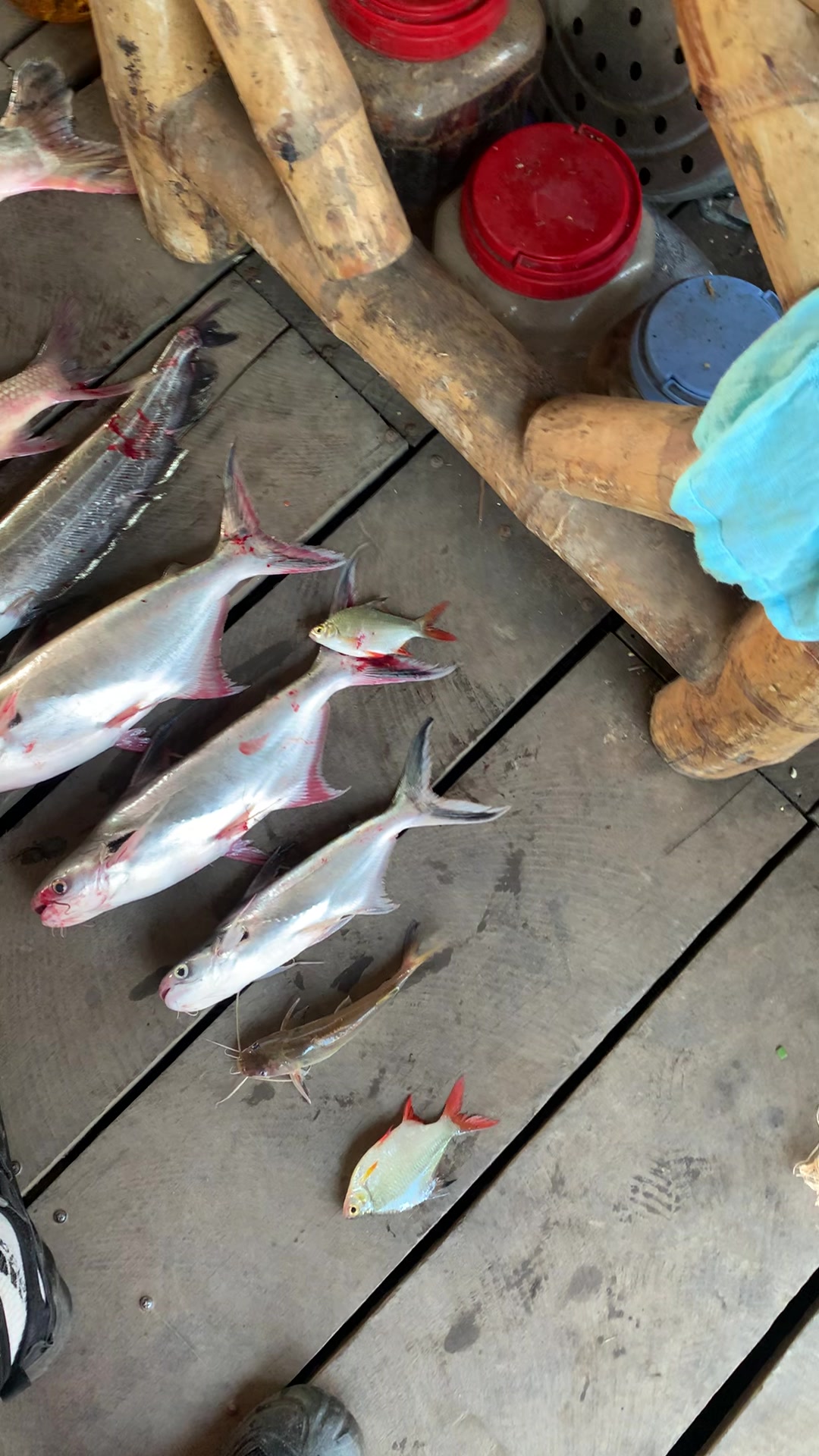 @Dara Fishing(KH)