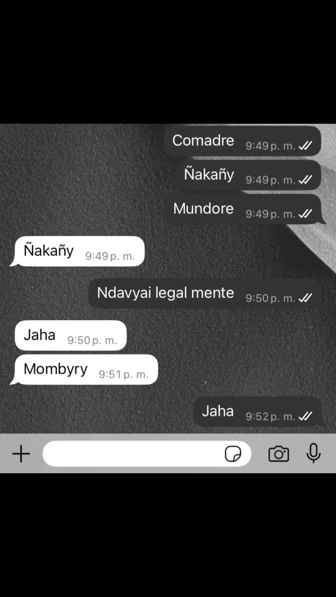@yelene2304