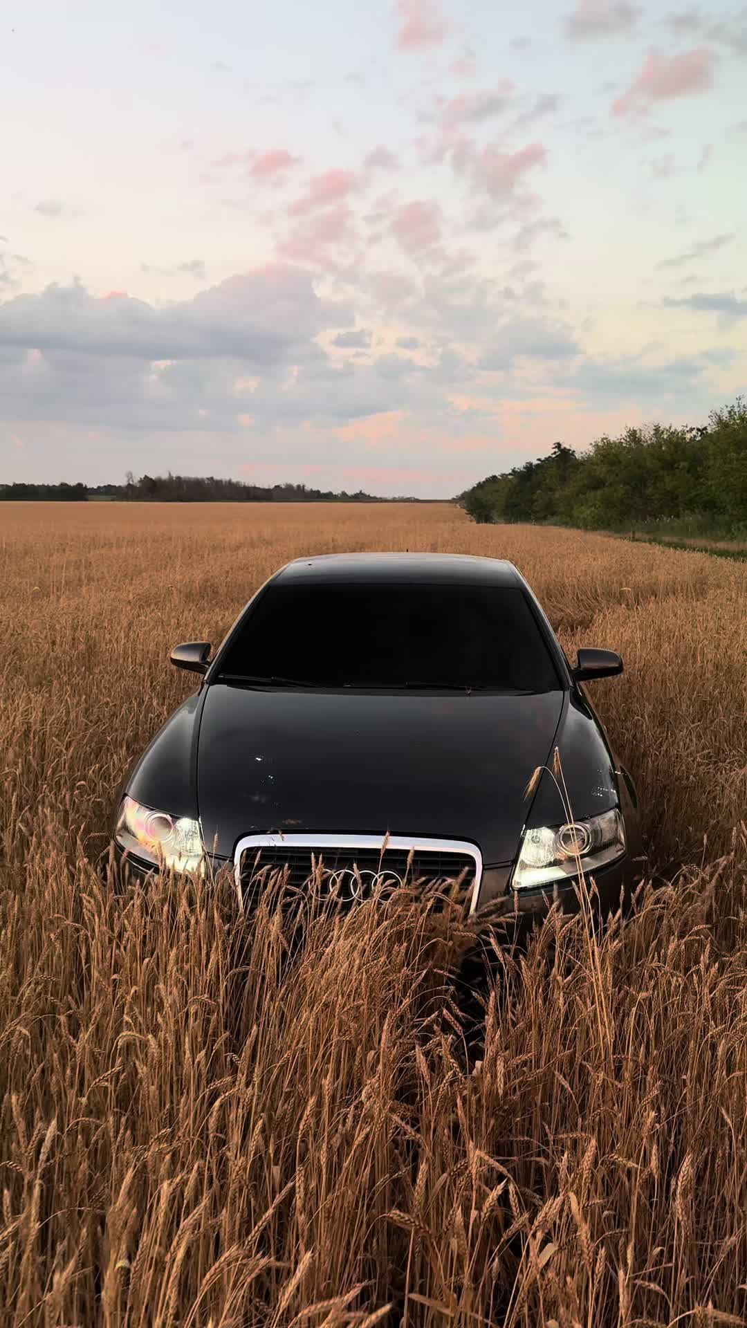 @𝙈𝙄𝙎𝙃_𝙂𝘼𝙉