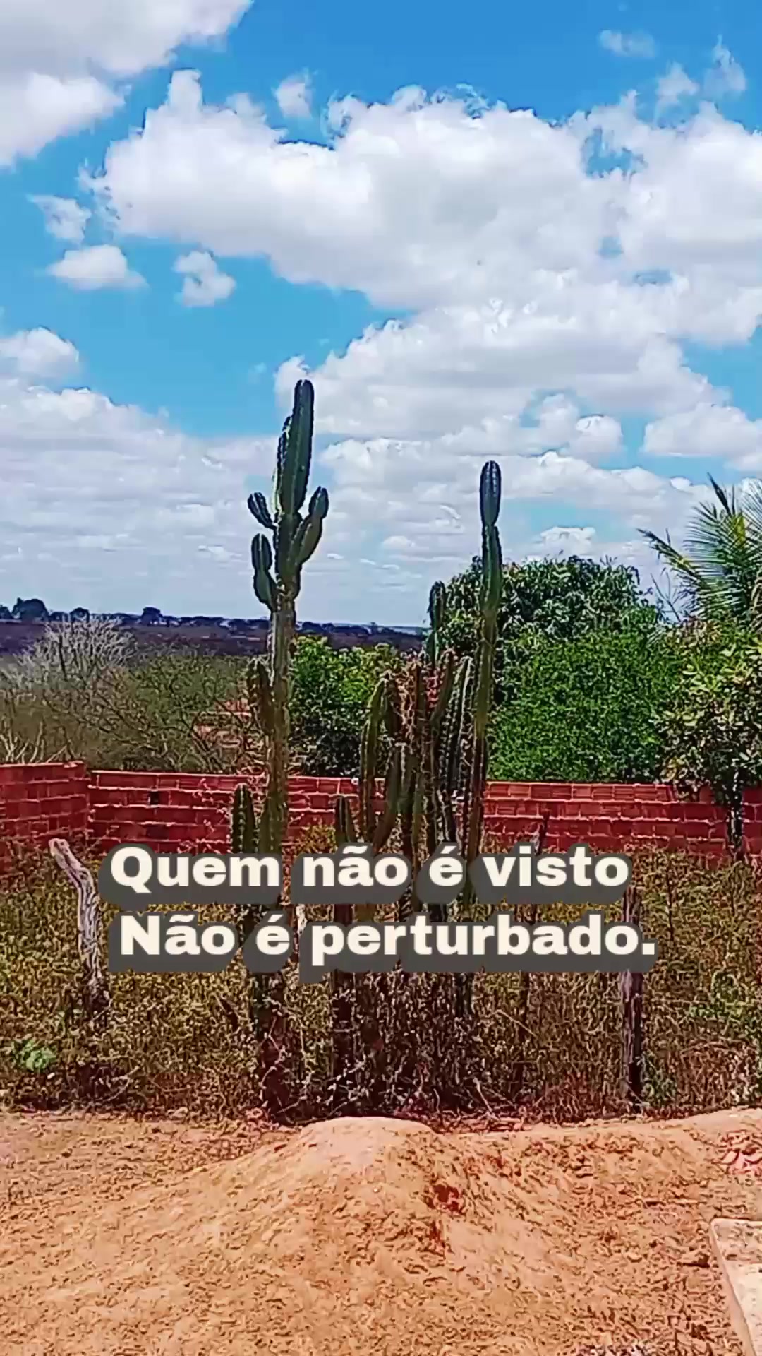 @MENINA MULHER ❤️🩹🦋