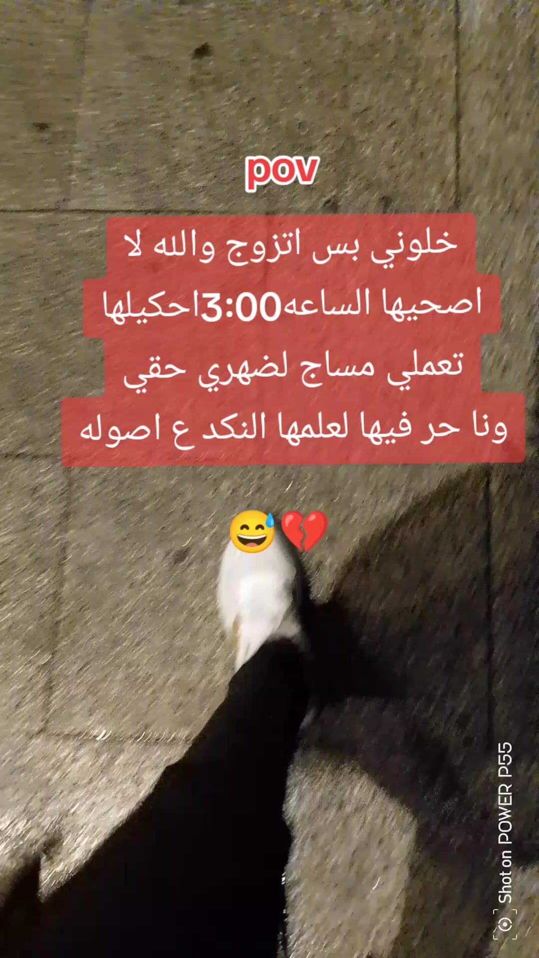 @هجـ⃪⃪ـ͢ـ⃪📮⍣⃟ــ⃪͢ران