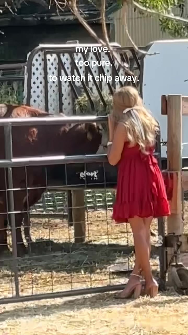 @jniyanase