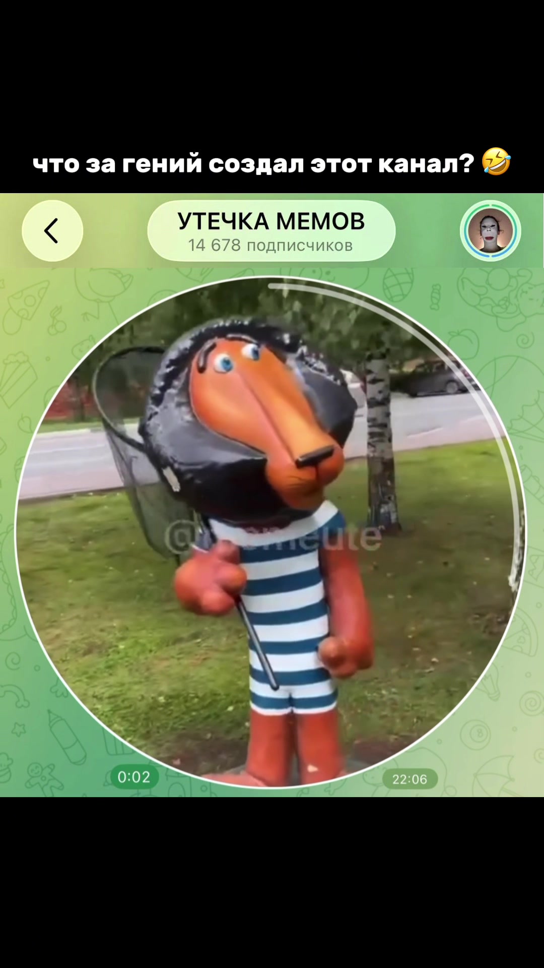 @тгк: memeute