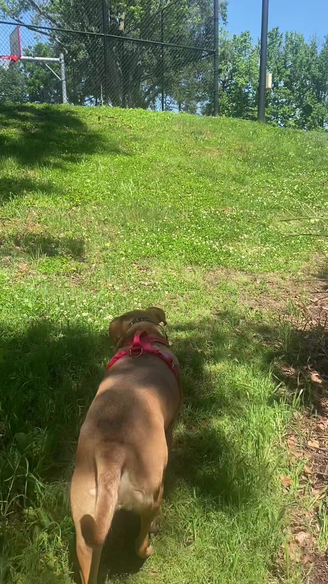 @MOCHI🔥🔥🐾🐾&hearts;️🩷💙💚💜💕🔥🔥