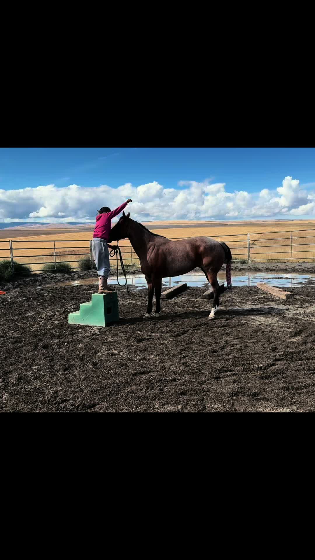 @Cowgirl Tuff Colt Training ❤️