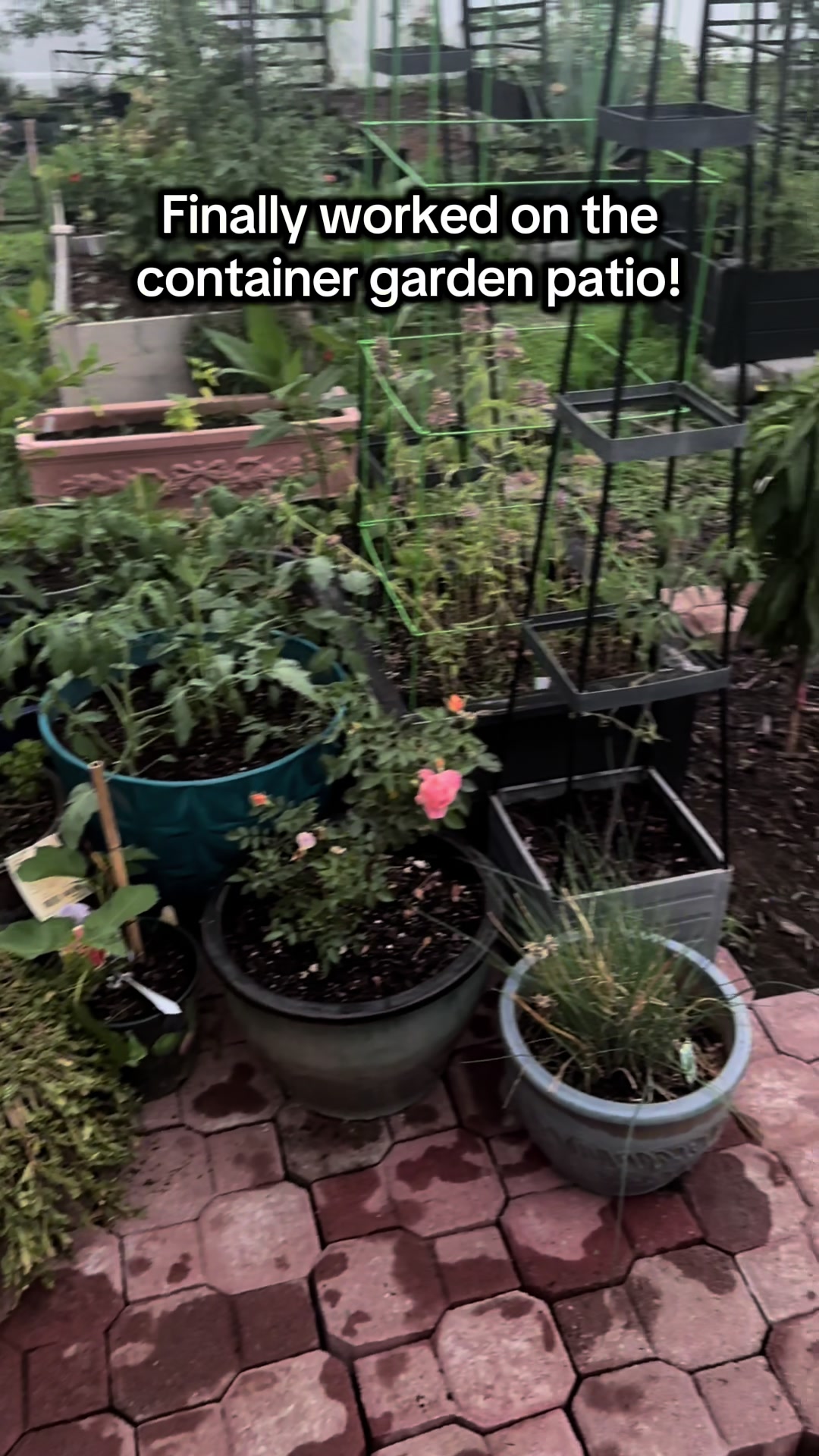 @The Bitchy Gardener - Jess 🍉
