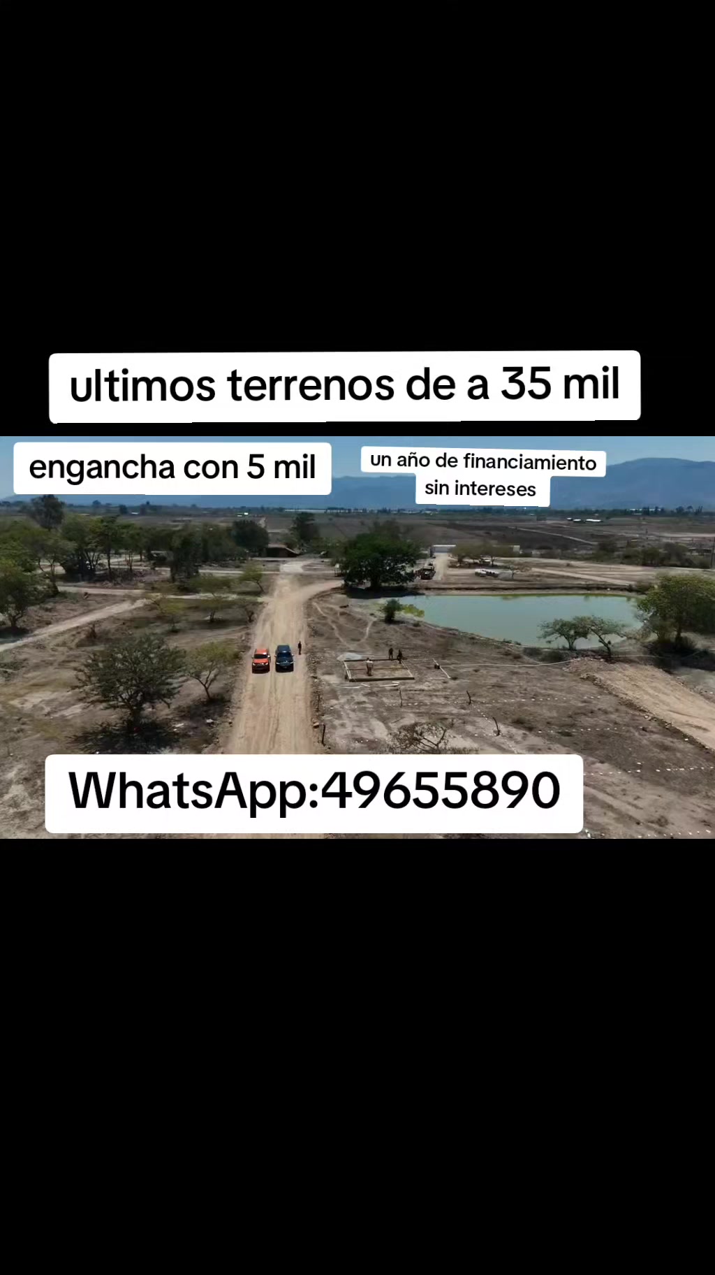 @Mario López asesor