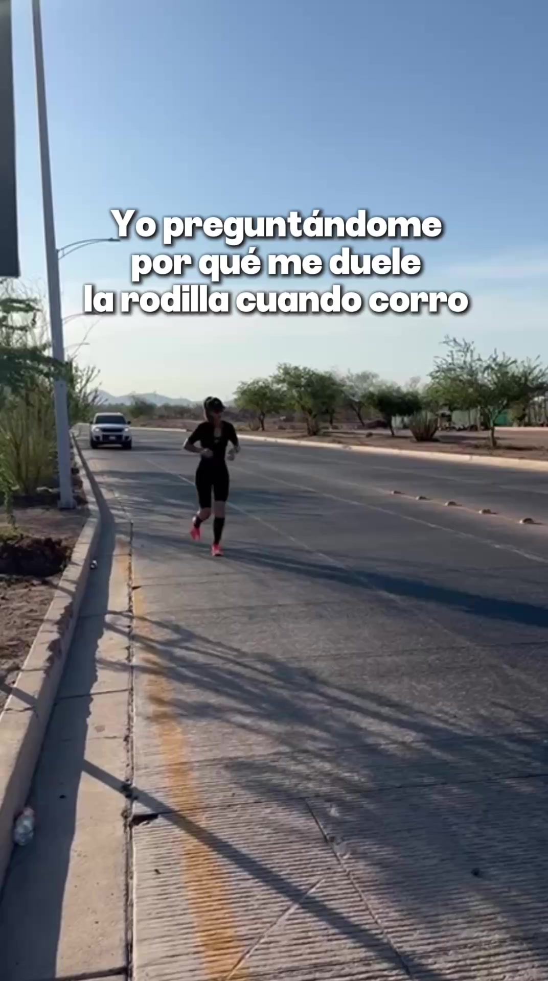 @Paulina Ocaña Encinas