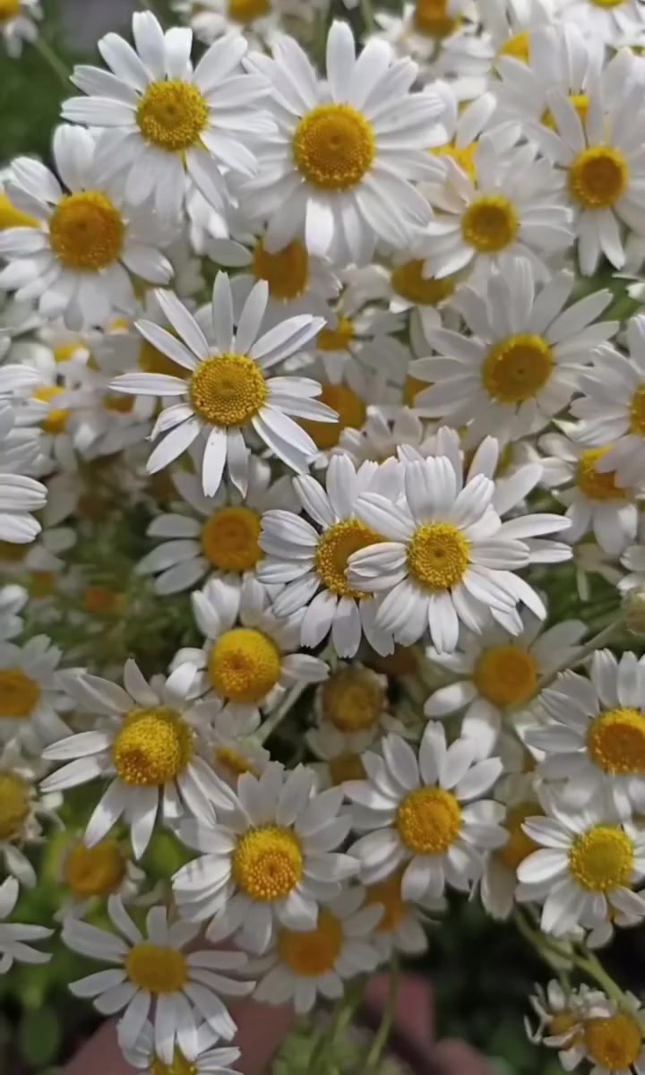 @🇰🇿🌺🌸Нᴀᴛᴀᴧья🌸Kz.16_ukg👋🤝